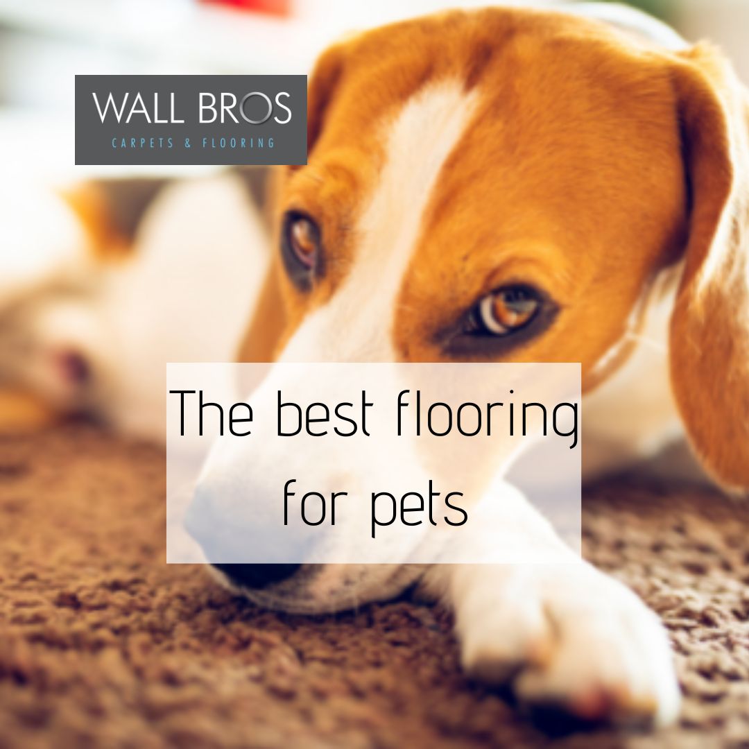 The Best Flooring For Pets